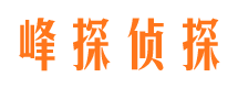 郴州市婚外情调查